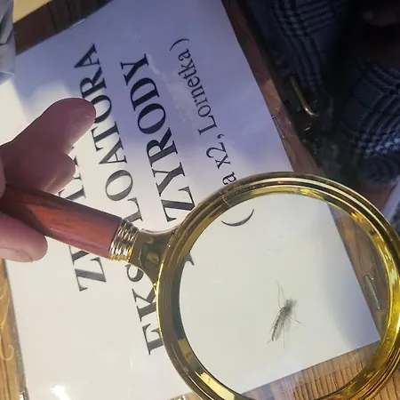 Hytte Na Wyspie -,,Roztoczanskie Morze